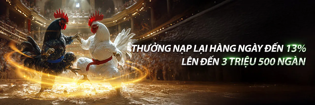 Nền đăng nhập an toàn nohu666 khuyến mãi